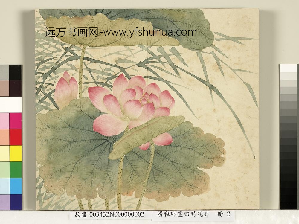 清程琳画四时花卉册-莲花芦苇