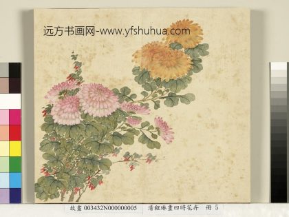 清程琳画四时花卉册-菊