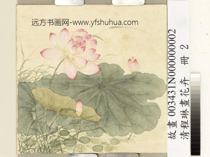 清程琳画花卉册-莲荷