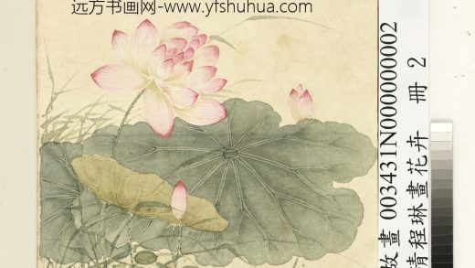 清程琳画花卉册-莲荷