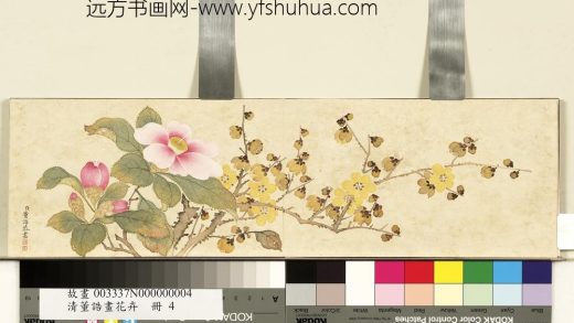 清董诰画花卉-册-蜡梅茶花