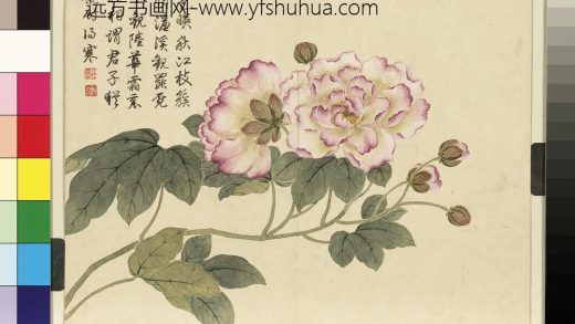 清董诰画芳敷绮序-册-芙蓉