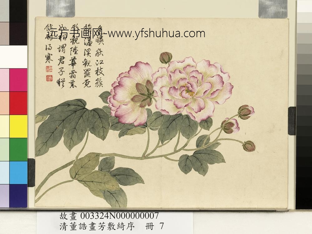 清董诰画芳敷绮序-册-芙蓉