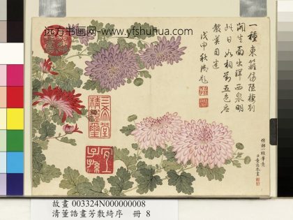 清董诰画芳敷绮序-册-菊花