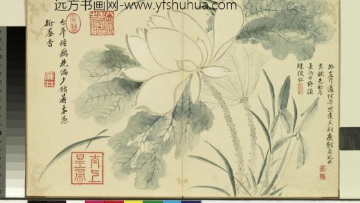 清陈书杂画册-荷花