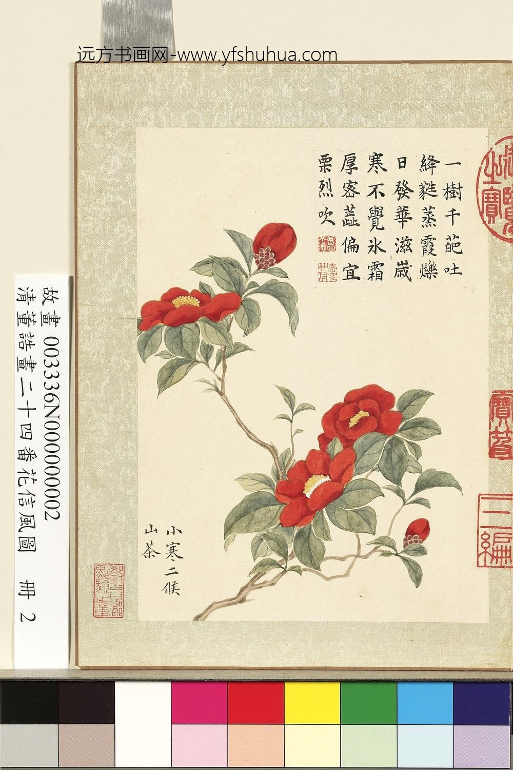 画二十四番花信风图册-小寒二候山茶