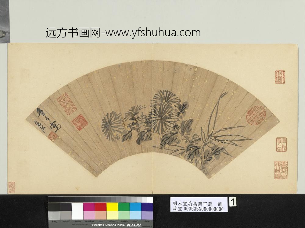 孙克弘墨菊图 明人画扇集册贰册(下)册