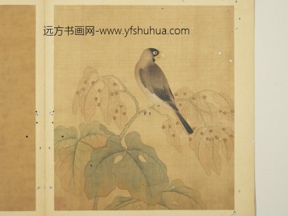 宋钱选写生图册 桑鸤