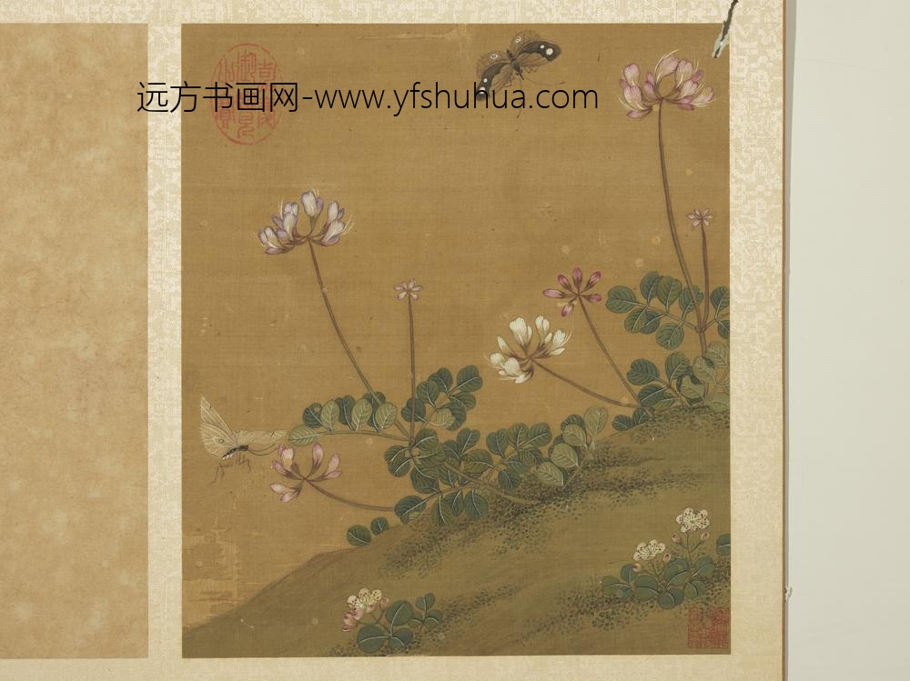 宋钱选写生图册 花草蝶蛾