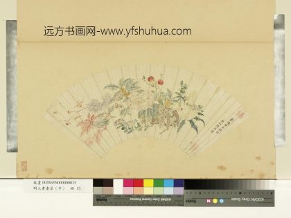 明人画扇（亨）册明陆治牡丹鶵菊