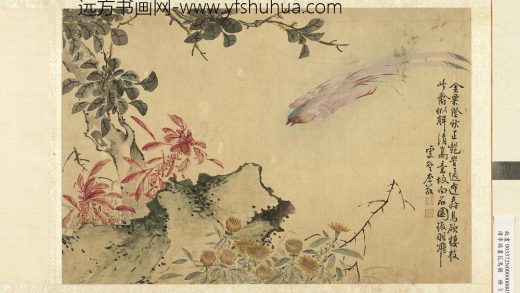 清李敬画花鸟图册桂菊寿带