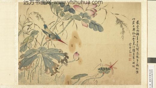 清李敬画花鸟图册荷花蜻蜓