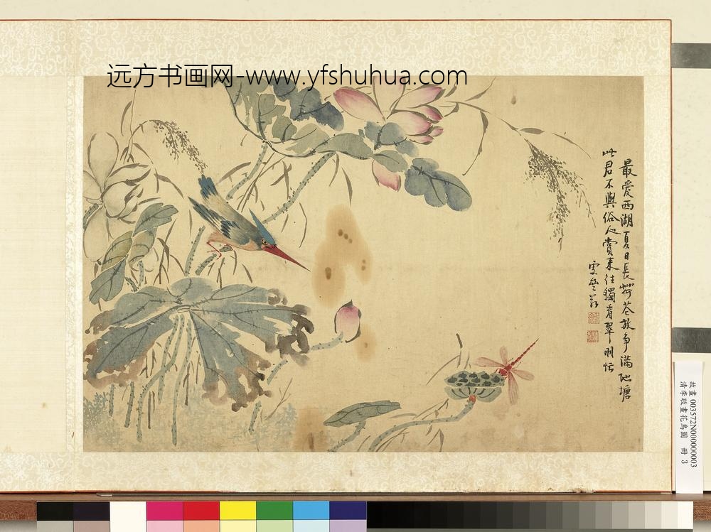 清李敬画花鸟图册荷花蜻蜓