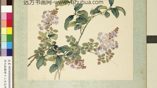 清沈振麟绘十二月花神册 桂花紫薇