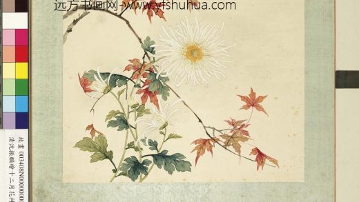 清沈振麟绘十二月花神册 菊花枫树