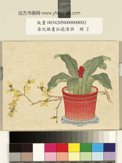 清沈焕画仙葩清供册 万年青花盆