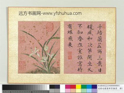 清蒋廷锡画群芳撷秀册兰花