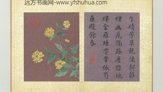 清蒋廷锡画群芳撷秀册棣棠