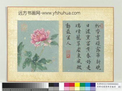 清蒋廷锡画群芳撷秀册牡丹