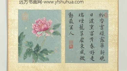 清蒋廷锡画群芳撷秀册牡丹