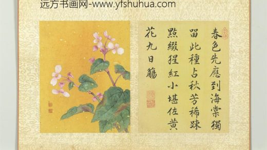 清蒋廷锡画群芳撷秀册秋海棠