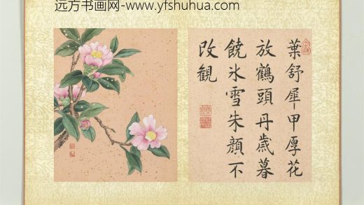 清蒋廷锡画群芳撷秀册茶花