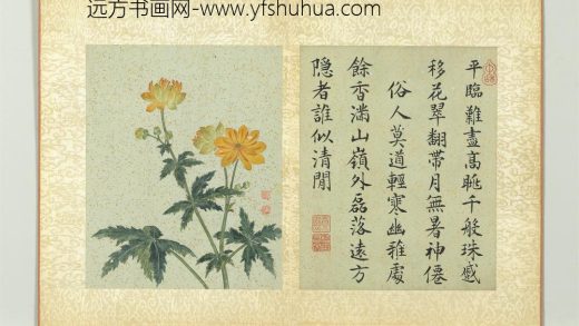 清蒋廷锡画群芳撷秀册菊花