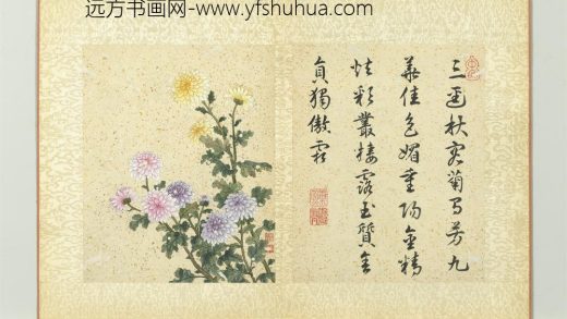 清蒋廷锡画群芳撷秀册菊花