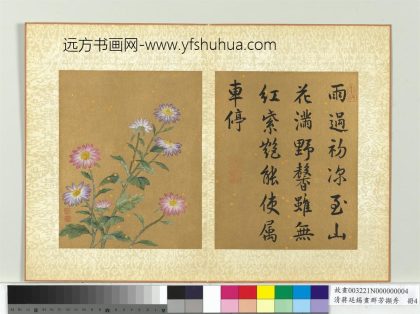 清蒋廷锡画群芳撷秀册野菊