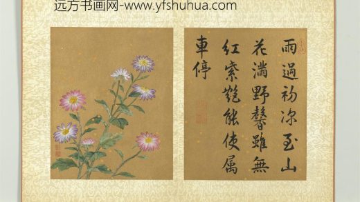 清蒋廷锡画群芳撷秀册野菊