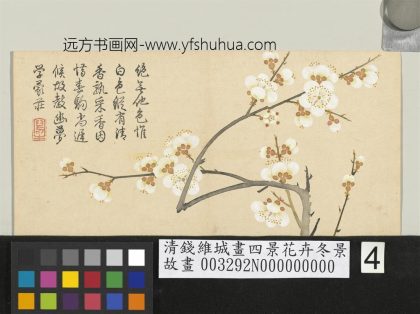 清钱维城画四景花卉冬景册 玉蝶梅