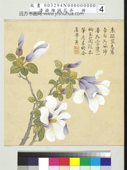 清钱维城画花卉册 木兰