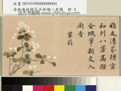 清钱维城绘花卉御题八香图册 茉莉