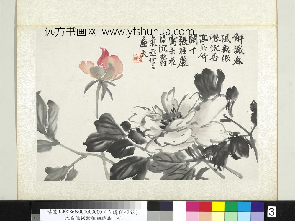 清陆恢动植物逸品册册莲荷