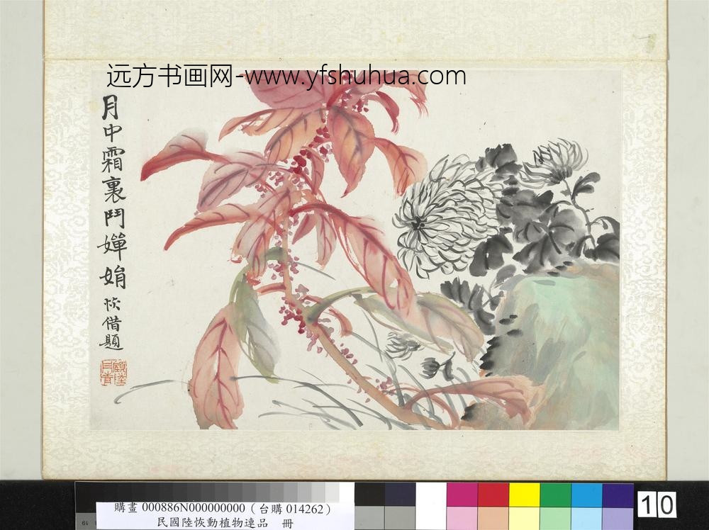 清陆恢动植物逸品册册菊花雁来红