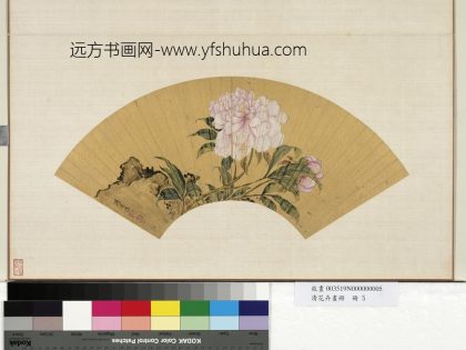 花卉画册册清蒋廷锡芍药