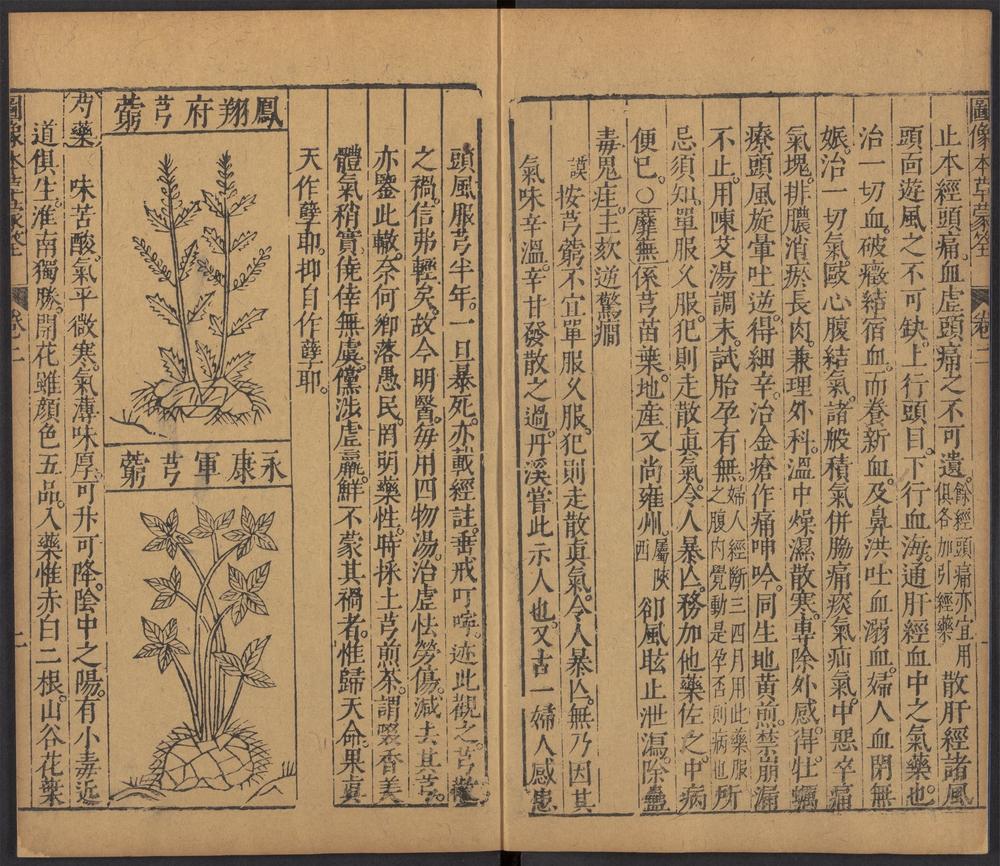 图像本草蒙筌_v.3