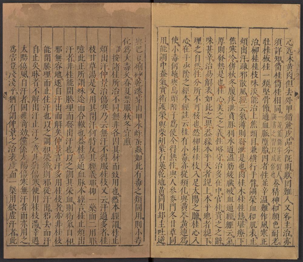 图像本草蒙筌_v.5