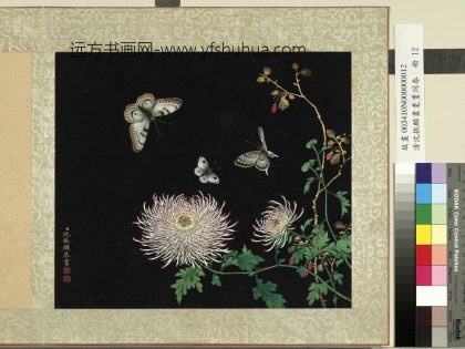 清沈振麟画耄耋同春册 菊花.jpg