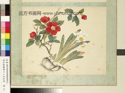 清沈振麟绘十二月花神册 水仙茶花.jpg