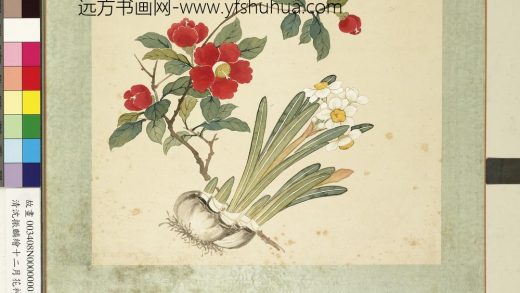 清沈振麟绘十二月花神册 水仙茶花.jpg