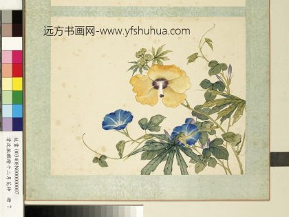 清沈振麟绘十二月花神册 秋葵牵牛花.jpg