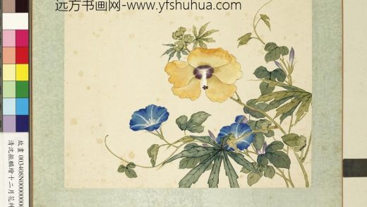 清沈振麟绘十二月花神册 秋葵牵牛花.jpg