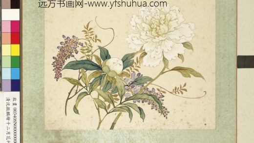 清沈振麟绘十二月花神册 芍药紫藤.jpg