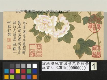 清钱维城画四景花卉秋景册 木芙蓉.jpg