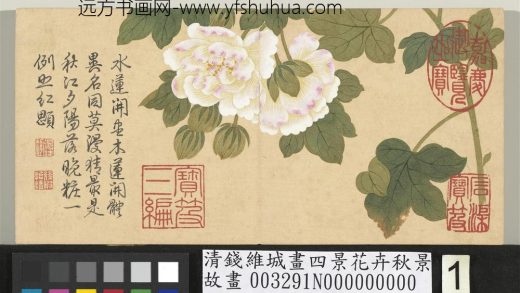 清钱维城画四景花卉秋景册 木芙蓉.jpg