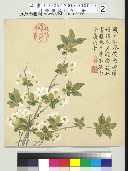 清钱维城画花卉册 梨花.jpg