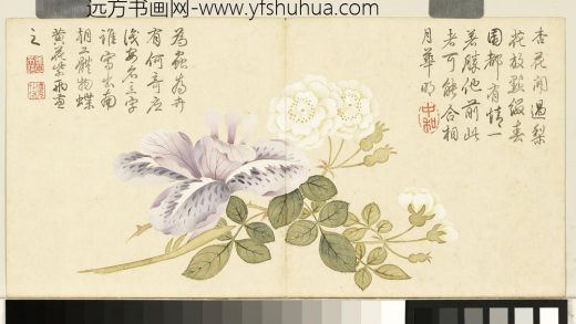 清钱维城画花卉册 梨花鸢尾.jpg