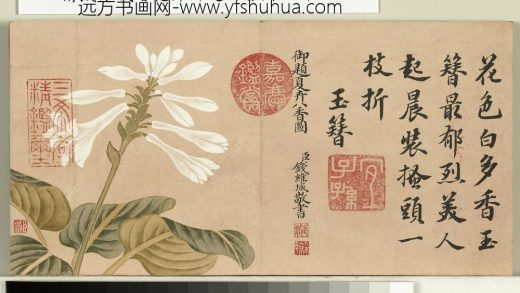 清钱维城绘花卉御题八香图册 玉簪花.jpg