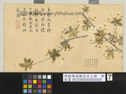 清钱维城绘花卉（上）册 李花.jpg